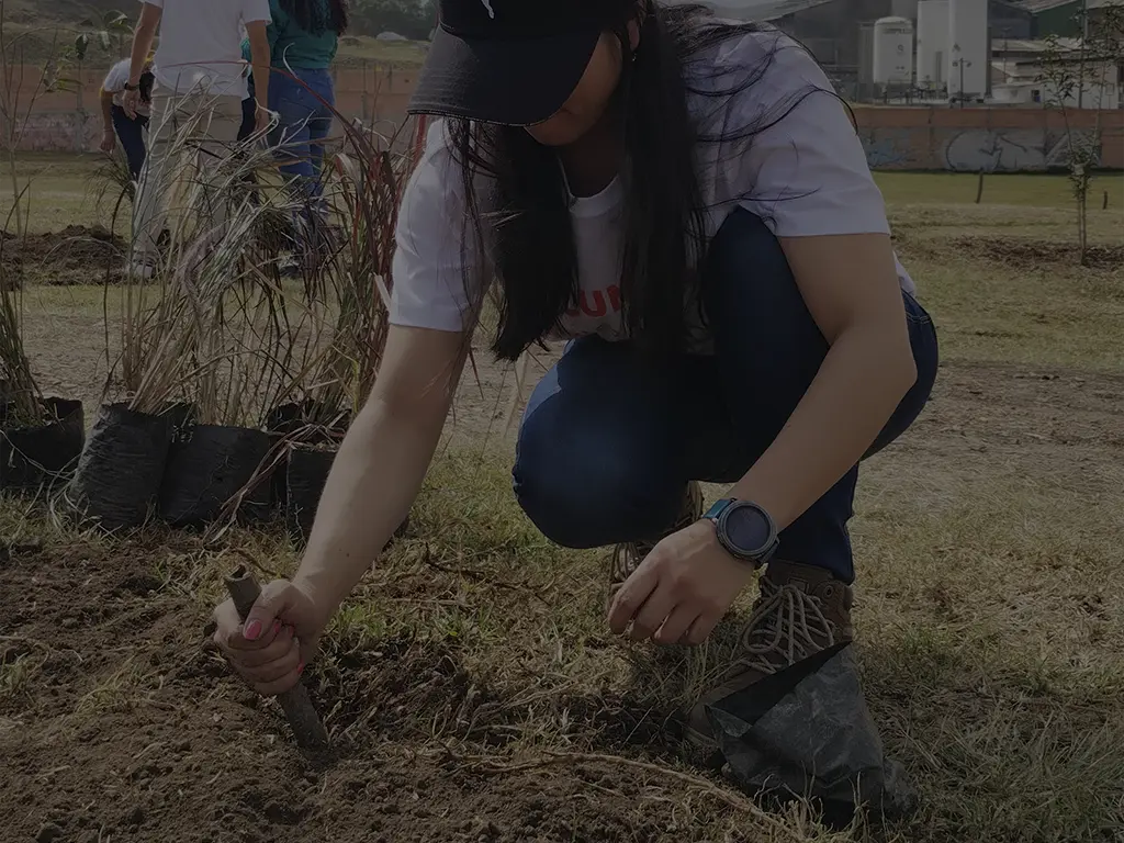 impacto total desde el 2012